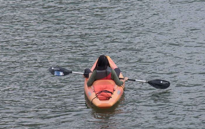 Eastern Mangroves Single