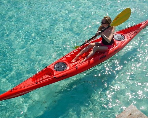 Kayak Single in Mangroves