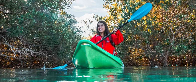 Kayaking in Abu Dhabi Mangroves