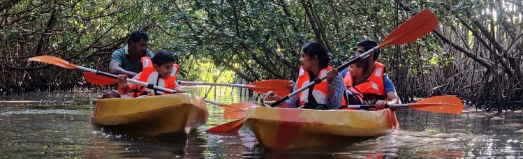 Enjoy the mangroves adventure of the lifetime