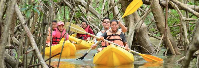 Feel the thrill experience in the mangroves to ride kayak